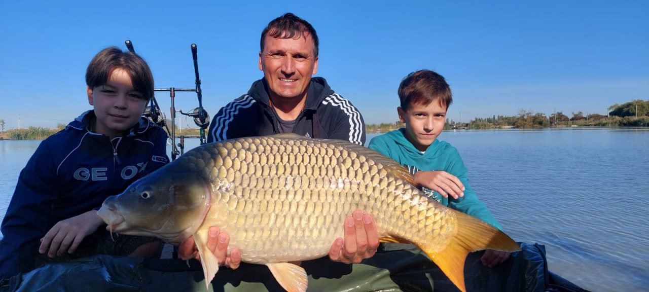 Амадей