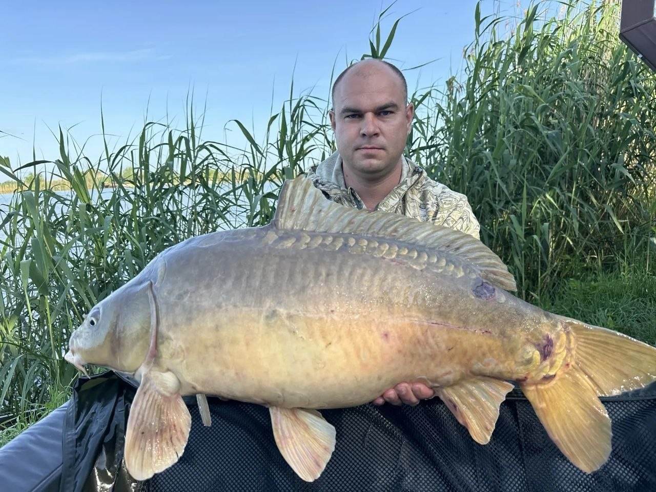 Фото из чата